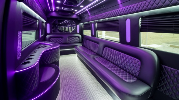 sprinter limo rental interior st george