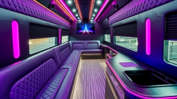 st george sprinter limo rental rental